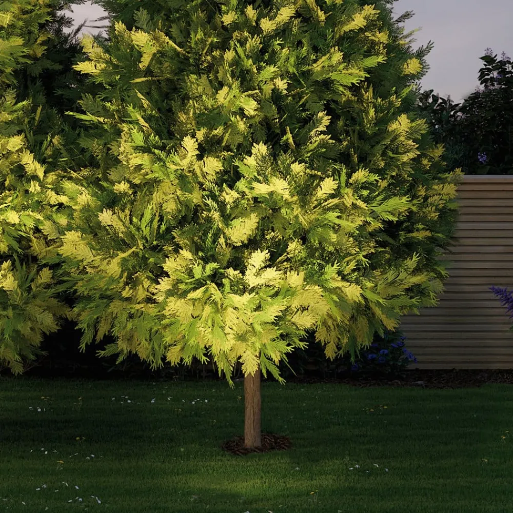 Paulmann Nedgravet Udebelysning>Plug & Shine Indbygningslampe 14cm 3,000K 38°