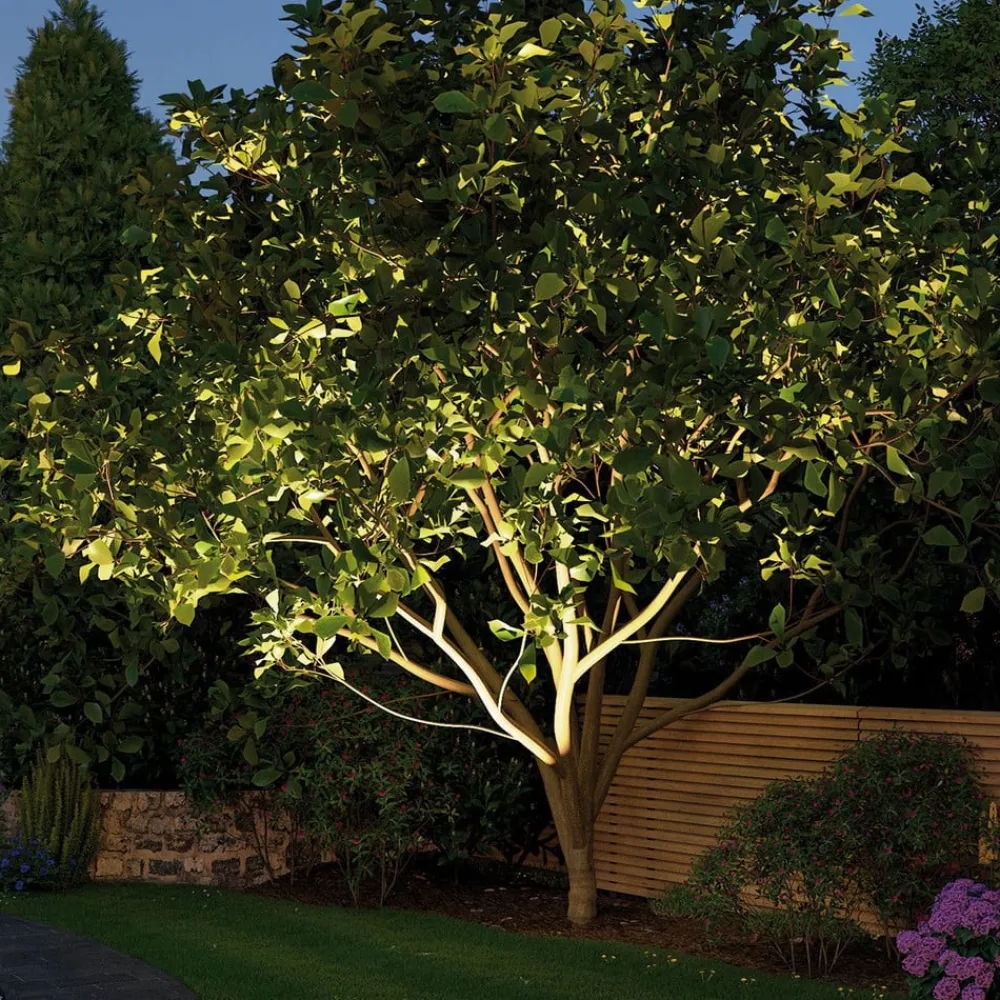 Paulmann Nedgravet Udebelysning>Plug & Shine Indbygningslampe 14cm 3,000K 38°