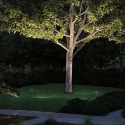 Paulmann Plug & Shine LED spot med jordspyd Radon