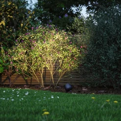 Plug & Shine LED-spot Kikolo jordspyd, ZigBee, RGBW^Paulmann Outlet