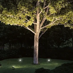 Paulmann Plug & Shine projektør med spids 16W