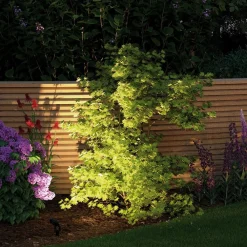 Plug & Shine spot med jordspyd Sting 3000K^Paulmann Discount