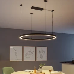 Paulmann Driver Konstant Spænding>strømforsyning Power Box Linion sort ZigBee 230/24V