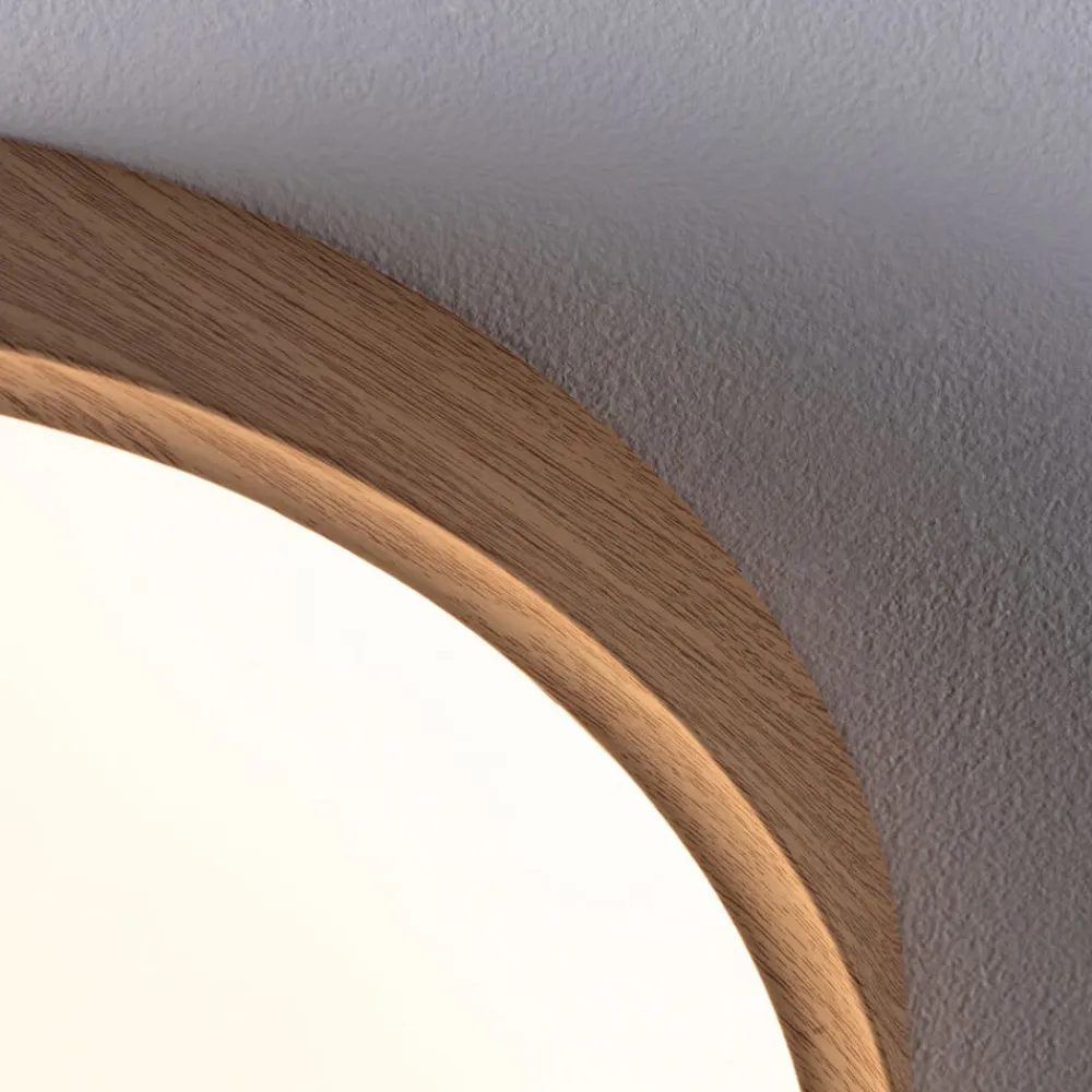 Paulmann Loftlamper>Tega LED-loftlampe IP44 CCT træ