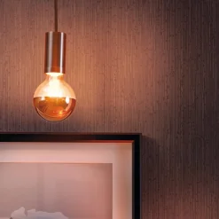 topforspejlet LED E27 6,5W G95 kobber^Paulmann