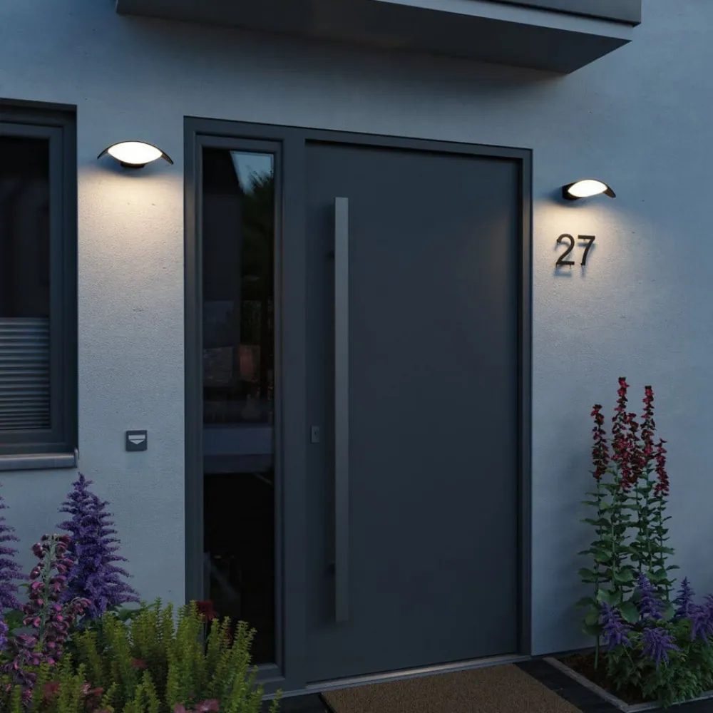 udendørs LED-væglampe Mesana, antracit 24 cm aluminium IP44^Paulmann Clearance