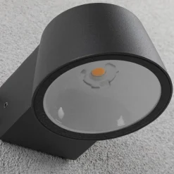 Paulmann udendørs LED-væglampe Capea, antracit, aluminium, IP44