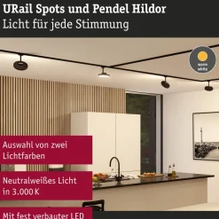Paulmann URail Hildor LED-spot sort 3.000K