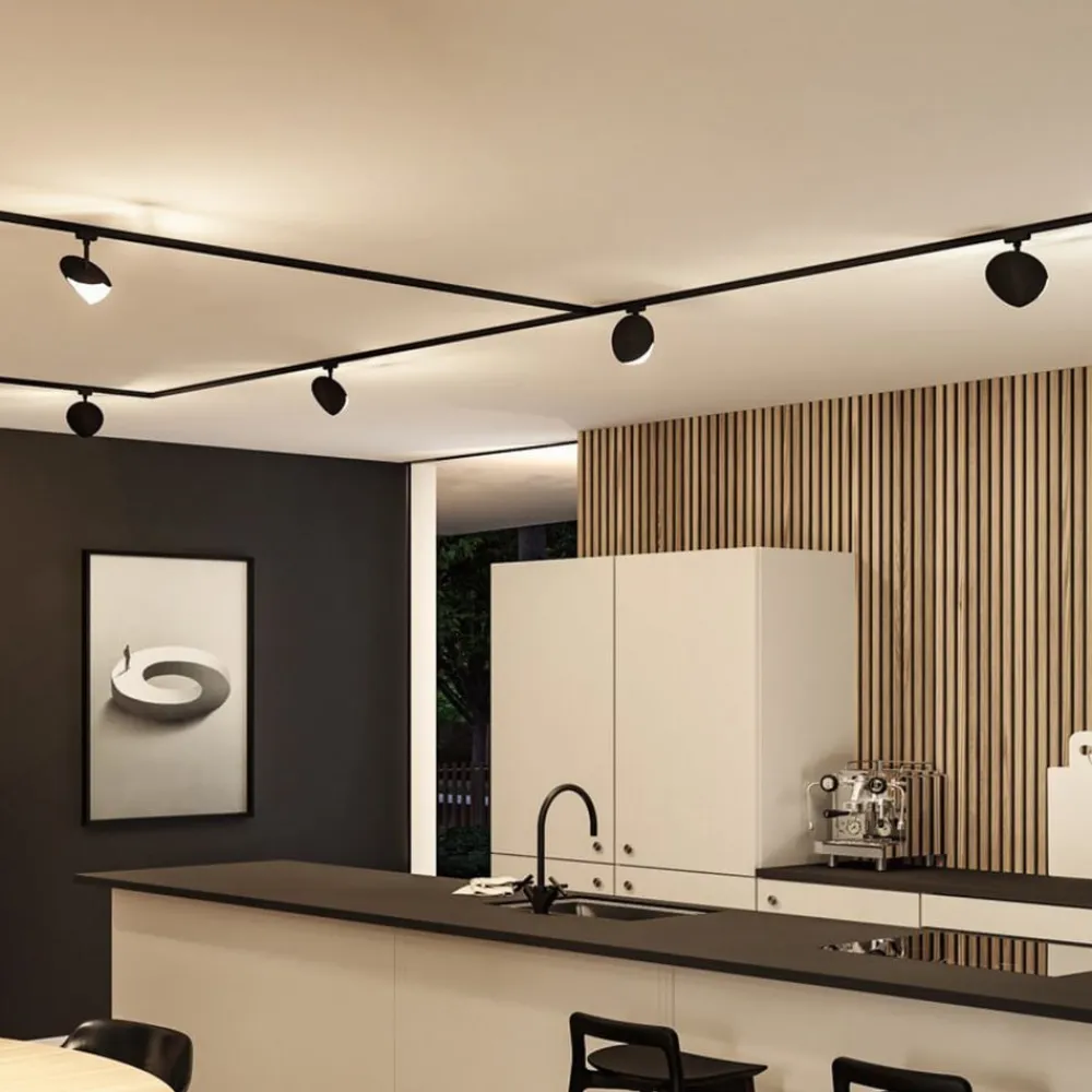 Paulmann URail skinnespot Alejandro sort 3.000K dæmpbar