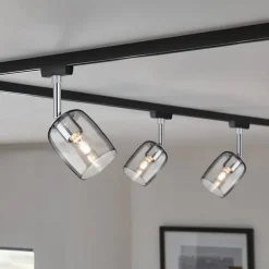 URail Spot Blossom sort, røgfarvet glas^Paulmann New