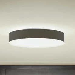 Enrave LED-loftslampe 38,1 cm sort^Philips Hue Hot