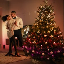 Philips Hue Festavia LED-lyskæde, CCT RGB 20 m