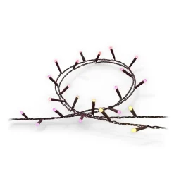 Festavia LED-lyskæde, CCT RGB 40 m^Philips Hue Outlet