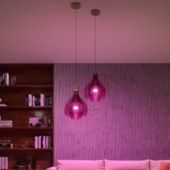 LED-pærer 2x E27 8,1 W CCT RGB Bridge Pro^Philips Hue Hot