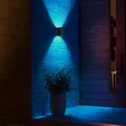 Resonate udendørs LED-væglampe, RGBW, sort^Philips Hue Online
