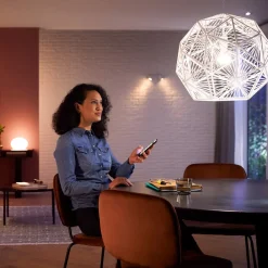 White 9 W E27 LED-pære, sæt med 2 stk^Philips Hue Sale