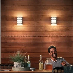 LED udendørs væglampe Python UE, grå, sensor^Philips Outlet