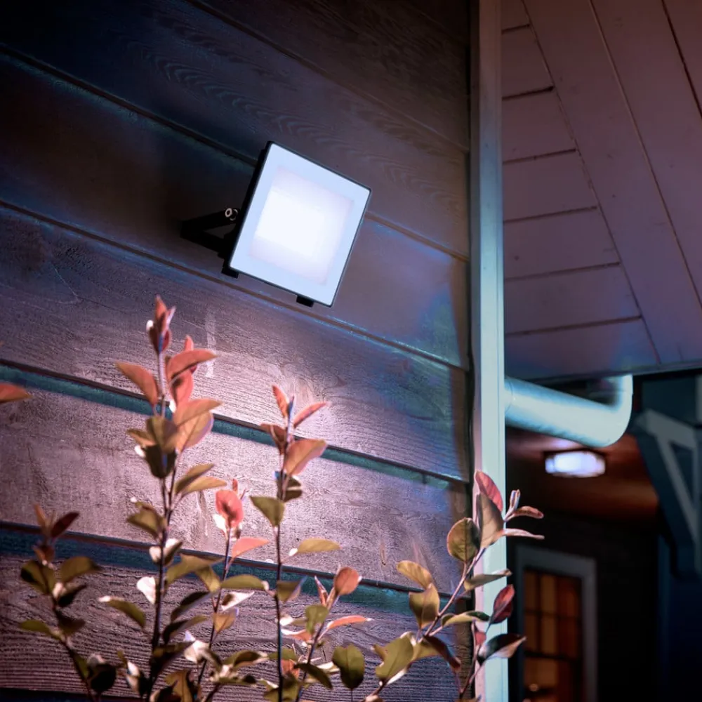 udendørs LED-spot Lois UE flood, 14 W, 5.000 K, IP65^Philips Best