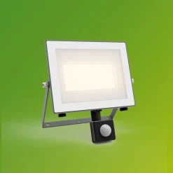 udendørs LED-spot Lois UE Sensor, 24 W, 3.000 K IP65^Philips Clearance