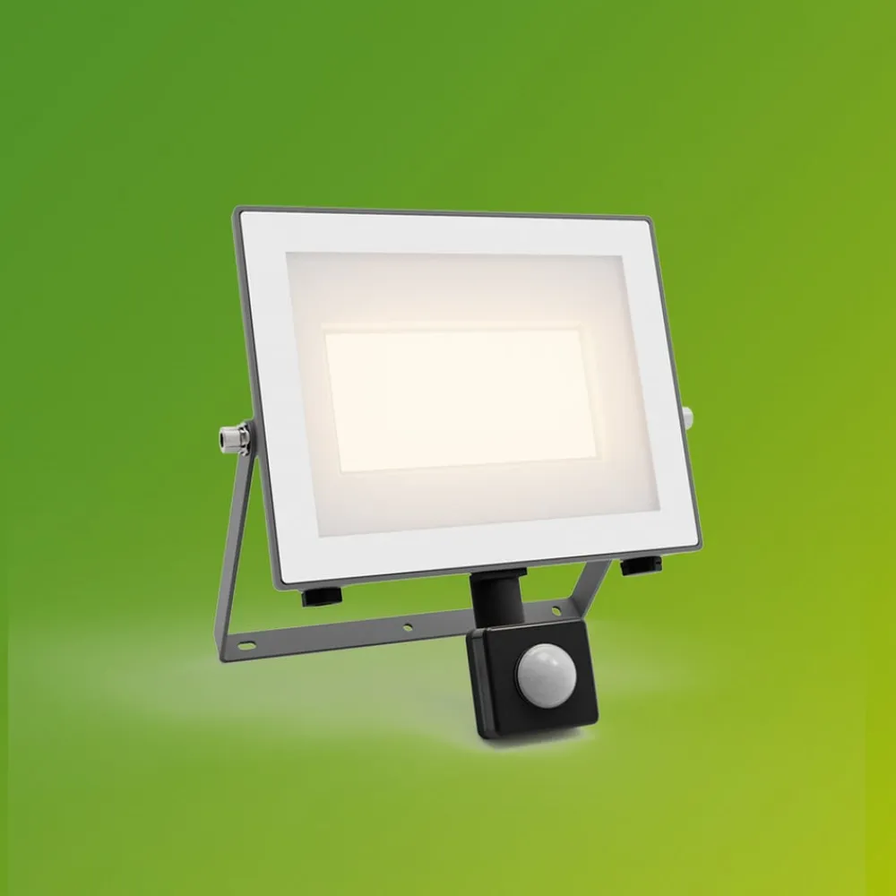 udendørs LED-spot Lois UE Sensor, 24 W, 3.000 K IP65^Philips Clearance
