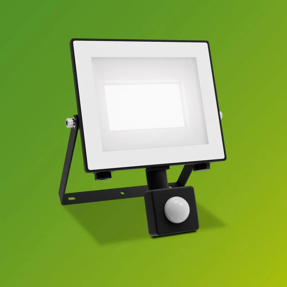 Philips udendørs LED-spot Lois UE Sensor, 14 W, 5.000 K IP65