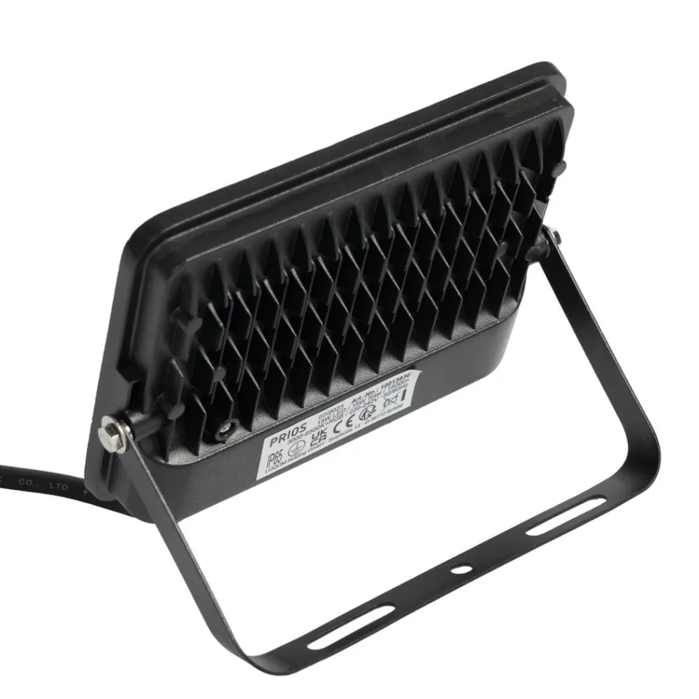 PRIOS Liezel udendørs LED-spot 15W RGBW Tuya IP65