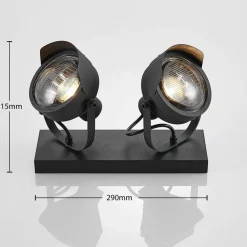 Projektør-loftspot Henega, sort med 2 lyskilder^Lindby Online