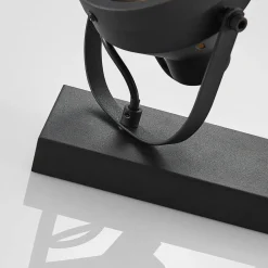 Projektør-loftspot Henega, sort med 2 lyskilder^Lindby Online