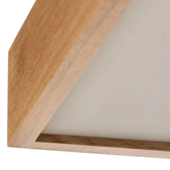 TEMAR LIGHTING Loftlamper><noscript><img width=