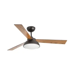 Rodas loftventilator med LED-lampe, brun^FARO BARCELONA Hot