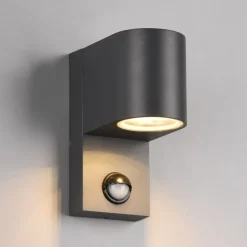 Trio Lighting Roya udendørs væglampe, 1 lk, sensor rund antracit