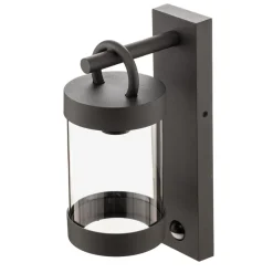 Trio Lighting Sambesi udendørs væglampe, bev.sensor, antracit