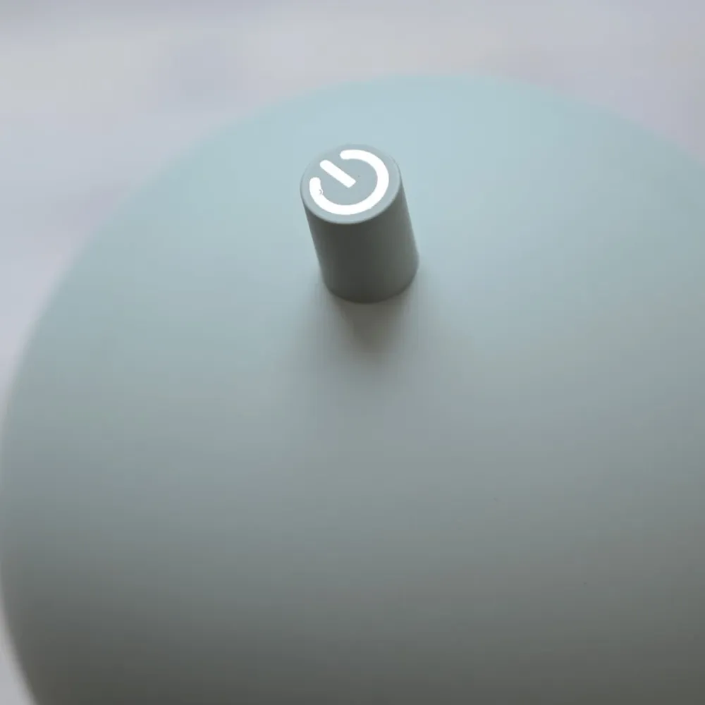 Schöner Wohnen Terrassebelysning>LED-akku-gulvlampe Bellies, forårsvækkelse