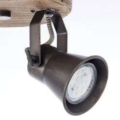 Brilliant Seed loftspot, 2 lyskilder, sort