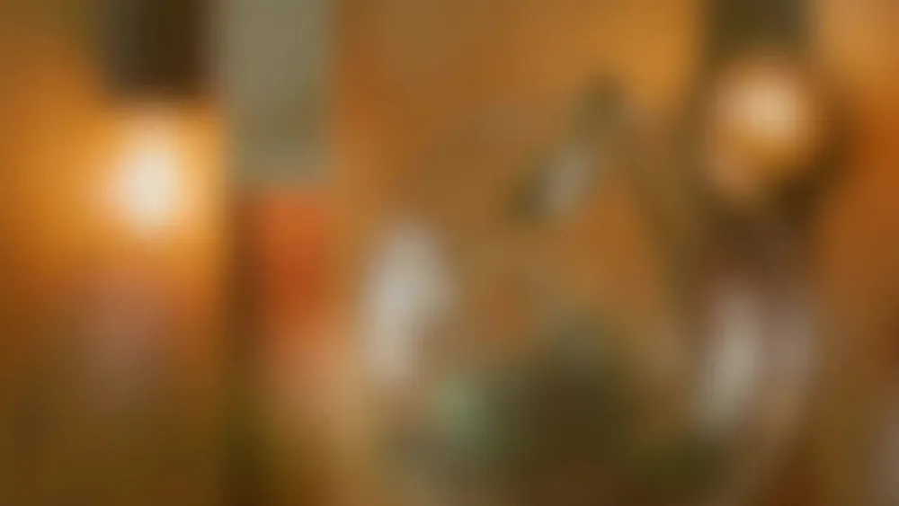 LED-pære A15 E27 3 W 2.200 K dæmpes, klar^SEGULA Discount