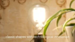 LED-pære E27 6,5 W filament ambient-dimming^SEGULA Outlet