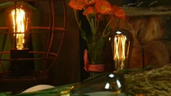 SEGULA Dæmpbar Led-Pære|Filament Pære><noscript><img width=