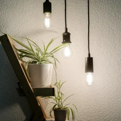 SEGULA Dæmpbar Led-Pære><noscript><img width=