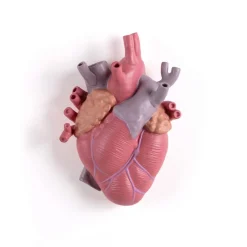 SELETTI Love in Bloom-vase, farverig, højde 25 cm, porcelæn