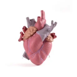 SELETTI Love in Bloom-vase, farverig, højde 25 cm, porcelæn