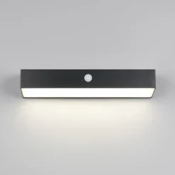 Reality Leuchten Silves solcellelampe til vægmontering, sort, sensor, IP44