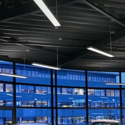 Siteco Taris pendel LED ECG DALI dæmpbar 151 cm