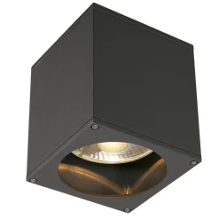 SLV Udendørs Loftlamper>Big Theo udendørs loftslampe, antracit