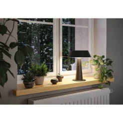 Paulmann Soala Solcelle Lampe Anthracite -