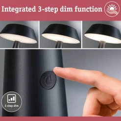 Paulmann Soala Solcelle Lampe Anthracite -