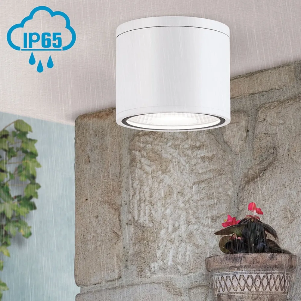 ORION Udendørs Loftlamper|Loftlamper>Sputnik LED-loftspot, IP65, Ø 14,5 cm, hvid