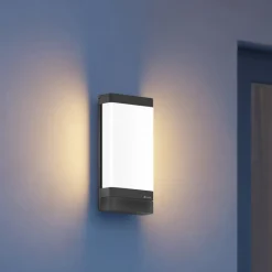 STEINEL L 271 DIGI C udendørs LED-væglampe
