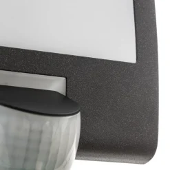 L 22 udendørs væglampe, sensor, antracit^STEINEL Outlet