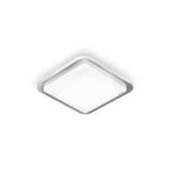 RS D2 V3 LED-loftlampe, børstet stål^STEINEL Online