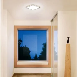 RS D2 V3 LED-loftlampe, børstet stål^STEINEL Online